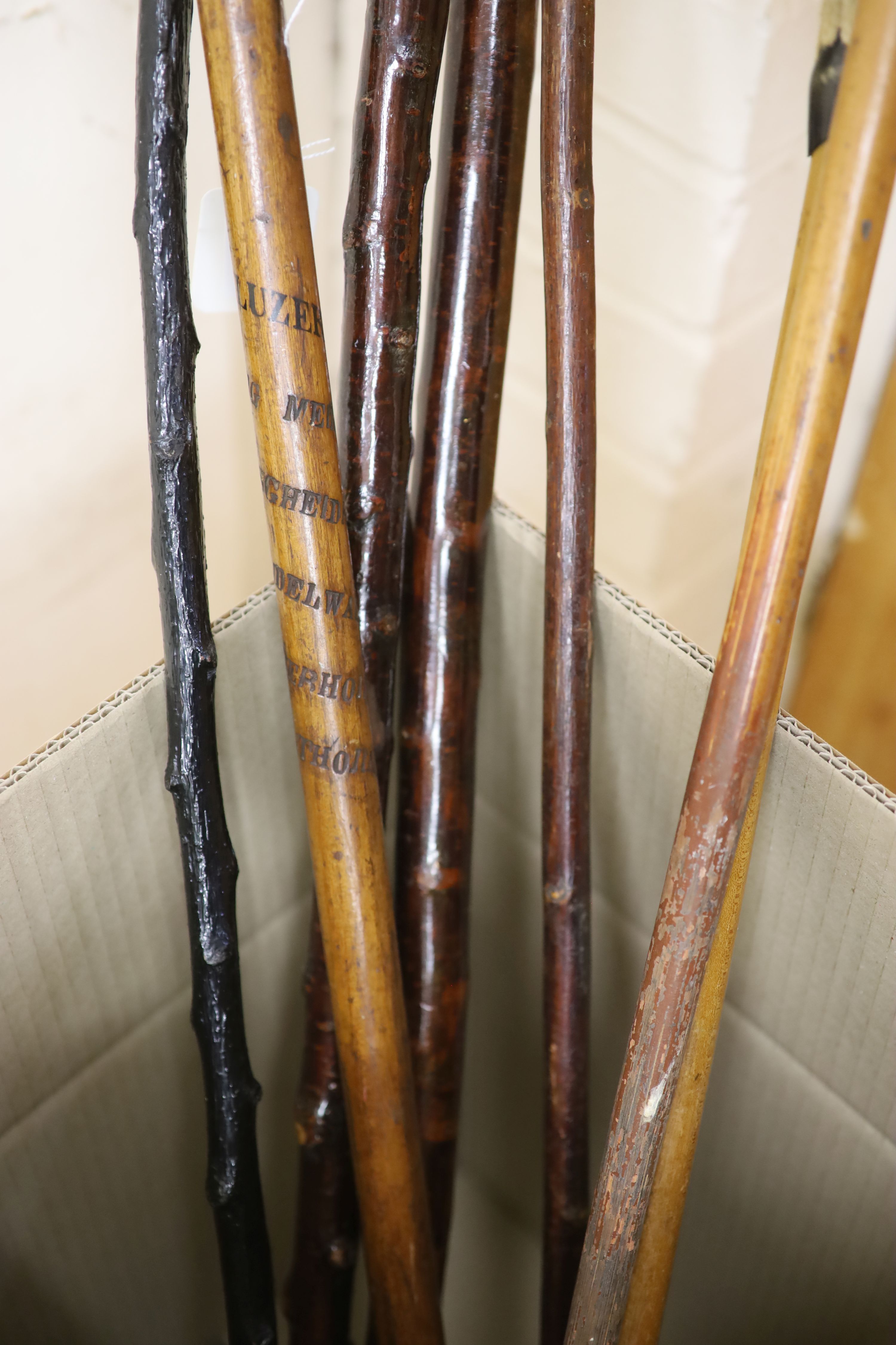 A collection of eight horn and antler handled walking sticks